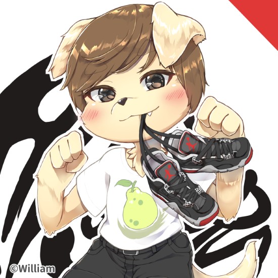 插圖